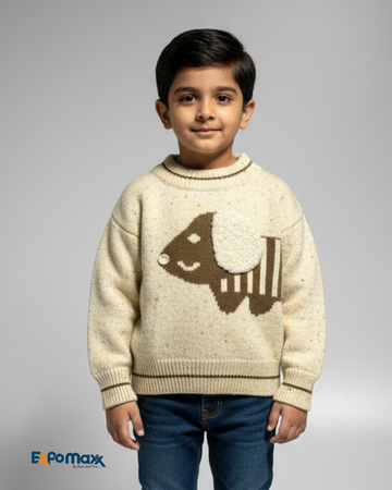 BOYS SWEATER
