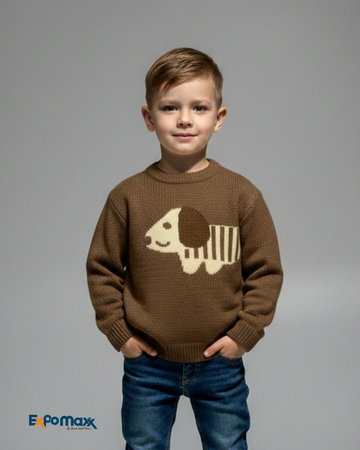 BOYS SWEATER
