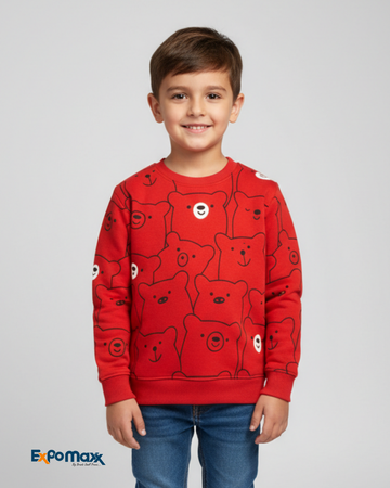 BOYS SWEATSHIRT