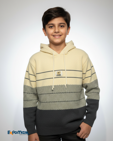 boys sweater